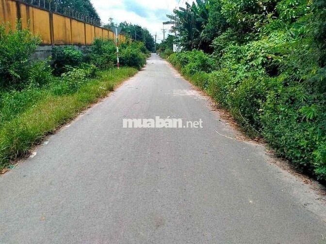 BÁN GẤP LÔ ĐẤT MẶT TIỀN LÊ THỊ CHÍNH – PHƯỚC VĨNH AN, CỦ CHI – 125M²