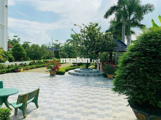 Anh cần vốn bán nhà mặt tiền chợ Đại Phước đang có HĐT
