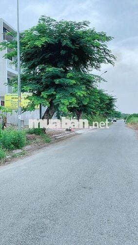 CHÌNH CHỦ CẦN BÁN GẤP LÔ ĐẤT H KDC13E INTRSCO, BÌNH CHÁNH ĐƯỜNG 12m2