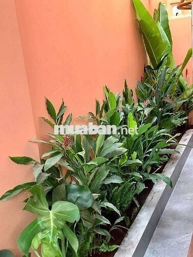 Ngôi Nhà Thư Giãn, Phong Cách Đà Lạt