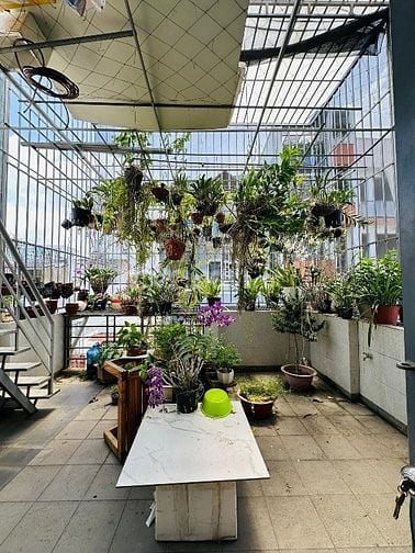 Bán nhà rẻ rộng đẹp (5,7x16,5) 20/1 Đường số 8 p11 Gò Vấp (Citypland)