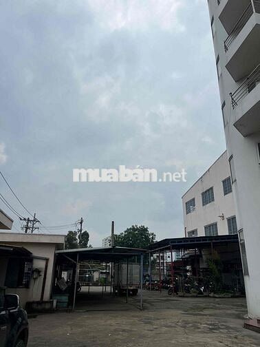 Cho thuê Văn Phòng đẹp DT 95m/sàn. cho thuê hết hoặc từng lầu riêng