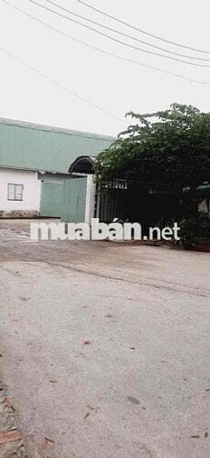 Lô đất mặt tiền đường 6 m gần chợ Đức Lợi Bình Chuẩn Thuận An BD củ