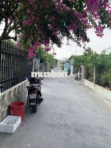 Đất Khu Phố 3, thị trấn Cần Giuộc