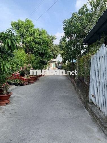 Đất Khu Phố 3, thị trấn Cần Giuộc