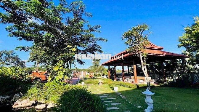 CĂN NHÀ VƯỜN NGHỈ DƯỠNG SIÊU ĐẸP GẦN BIỂN HỒ TRÀM