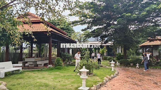 CĂN NHÀ VƯỜN NGHỈ DƯỠNG SIÊU ĐẸP GẦN BIỂN HỒ TRÀM