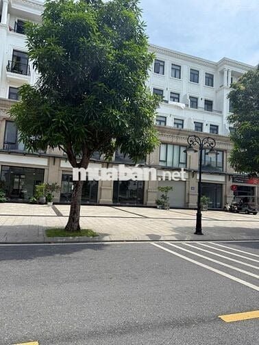Bán biệt thự liền kề 13,5tỷ, 163m2 Vinhomes Ocean Park 1