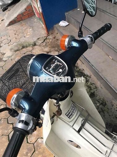 Honda Cub 81/50cc . Bstp