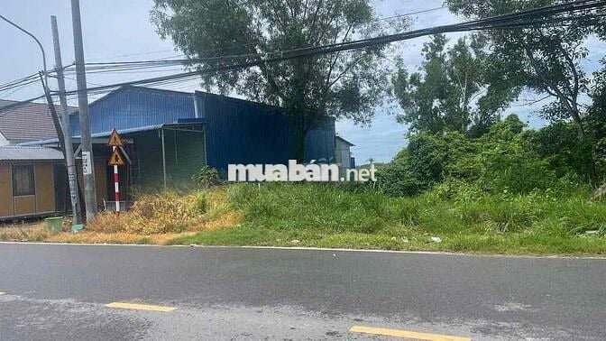 cần bán đất chính chủ mt đường hùng vương phước an nhơn Trạch