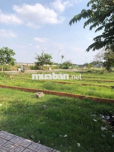 Bán Đất Thổ Cư - Củ Chi: 5x16-100% Thổ Cư-Tân Thông Hội. Giá 700 triệu