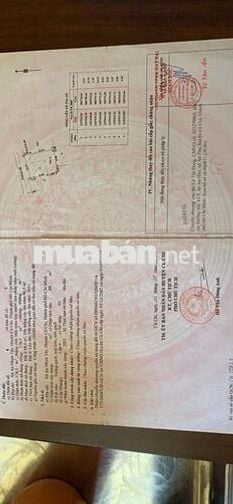 Bán Nhà Vươn - Củ Chi : 12x14 - 3PN - 3WC - An Nhơn Tây. Giá 1 tỷ 550