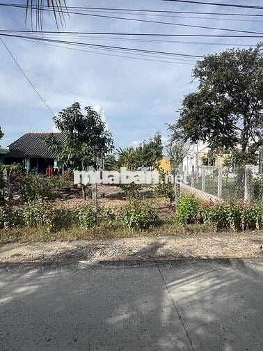 Đất nhà vườn đẹp chính chủ gần bán gấp