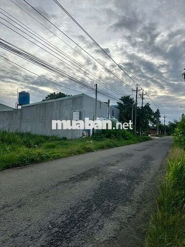 Đất mặt tiền Hương lộ 15, Phường Tân Triều