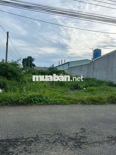 Đất mặt tiền Hương lộ 15, Phường Tân Triều
