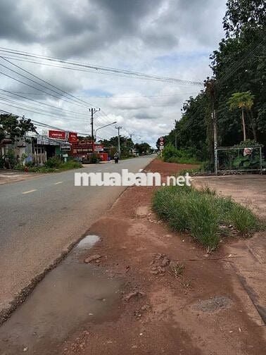 Bán lô góc siêu đẹp giá rẻ mặt tiền đường nhựa, có thổ cư 100m2