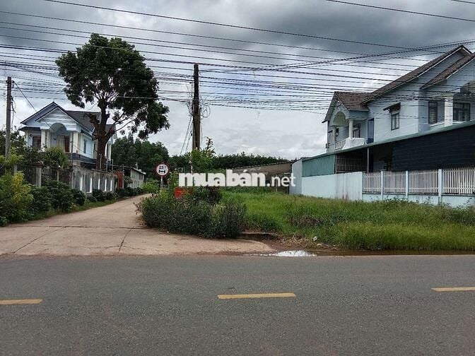 Bán lô góc siêu đẹp giá rẻ mặt tiền đường nhựa, có thổ cư 100m2