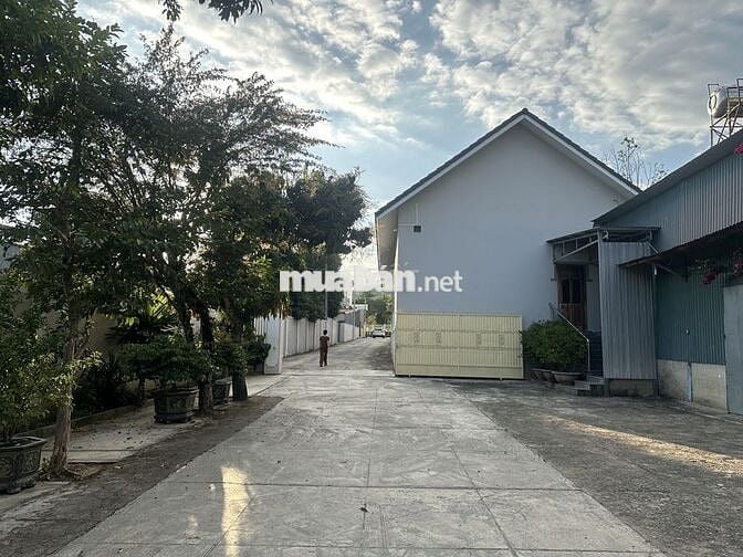 NHÀ XƯỞNG, MẶT BẰNG KINH DOANH