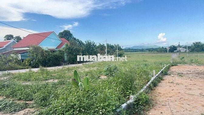 Đất nên siêu rẻ xứng đáng đầu tư!