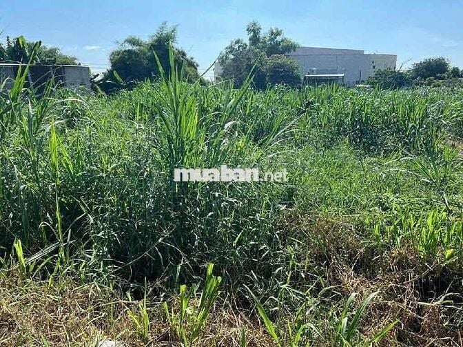 BÁN LÔ ĐẤT NỀN FULL THỔ CƯ – GIÁ CỰC TỐT – XÃ HOÀ PHÚ , CỦ CHI, TPHCM
