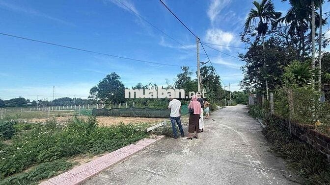 Đất nên siêu rẻ xứng đáng đầu tư!