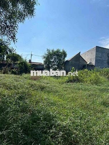 BÁN LÔ ĐẤT NỀN FULL THỔ CƯ – GIÁ CỰC TỐT – XÃ HOÀ PHÚ , CỦ CHI, TPHCM