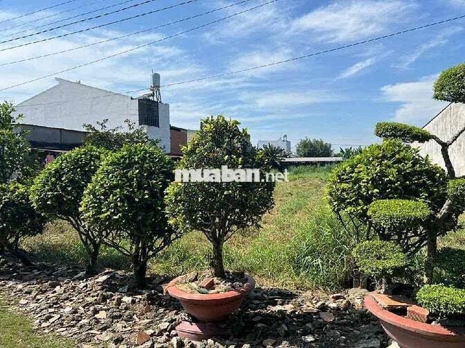 BÁN LÔ ĐẤT NỀN FULL THỔ CƯ – GIÁ CỰC TỐT – XÃ HOÀ PHÚ , CỦ CHI, TPHCM