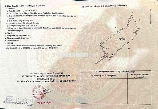 8ha Bình Tân Phú Riềng đất làm dự án