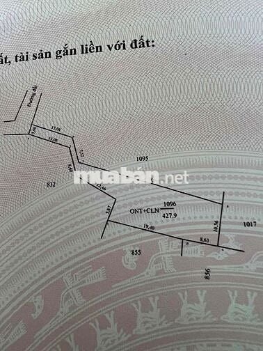Đất ngay Cầu Vượt QL22, 428m2 thổ cư đường ôtô sổ hồng