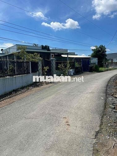 Đất ngay Cầu Vượt QL22, 428m2 thổ cư đường ôtô sổ hồng