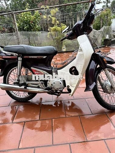 xe đã qua sử dụng