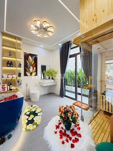 Siêu phẩm nhà đẹp TÔ HIẾN THÀNH QUẬN 10, giá 5,2 tỷ thương lượng