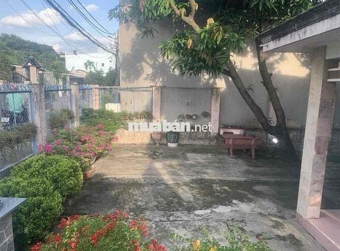Nhà vườn bán đất tặng nhà đường lớn 658m2 full Thổ Linh Xuân đường 5m
