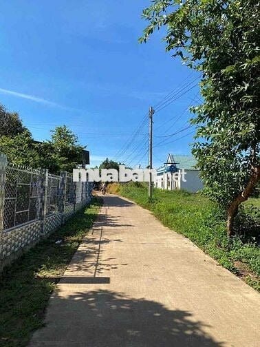 ĐẤT FULL THỔ CƯ TẠI XÃ LA NGÀ ĐỒNG NAI CHỈ 490TR C.HỘI ĐẦU TƯ SINH LỜI