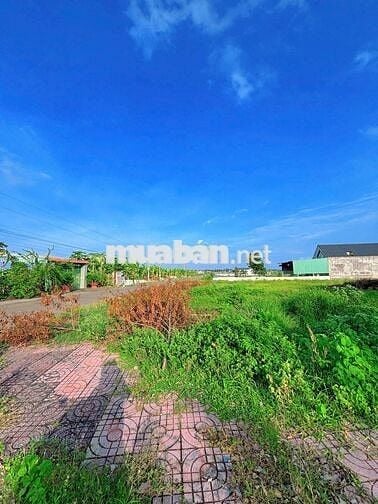 NGỘP BÁN GẤP 2 LÔ ĐẤT 126M2 CẠNH CAO TỐC BH-VT, ĐẦU TƯ CÓ LỜI NGAY