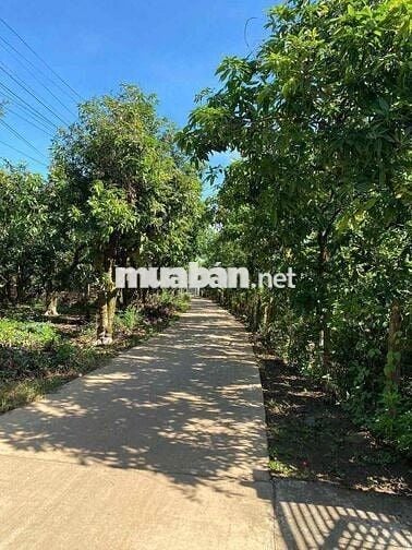 ĐẤT FULL THỔ CƯ TẠI XÃ LA NGÀ ĐỒNG NAI CHỈ 490TR C.HỘI ĐẦU TƯ SINH LỜI