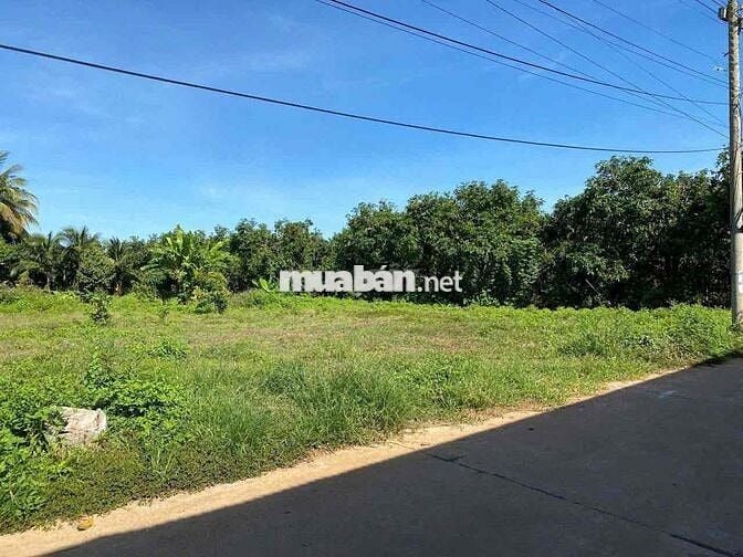 ĐẤT FULL THỔ CƯ TẠI XÃ LA NGÀ ĐỒNG NAI CHỈ 490TR C.HỘI ĐẦU TƯ SINH LỜI
