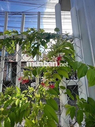 Bán lô đất kiệt oto tránh nhau Bùi Tá Hán vị trí đẹp