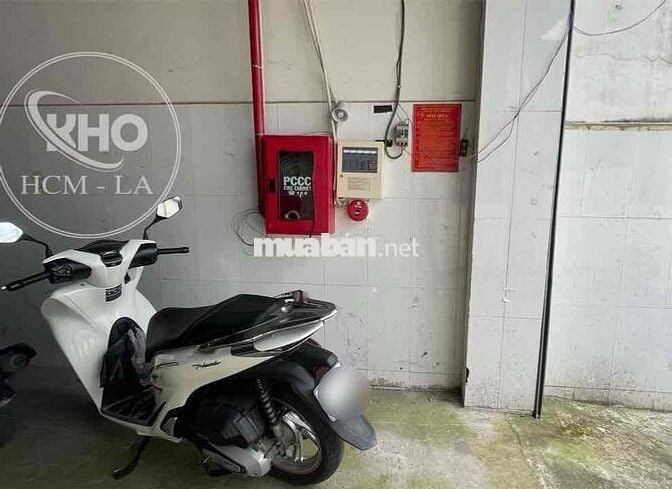 Chính chủ cho thuê 1000m có PCCC, cao 8m + cont 40f