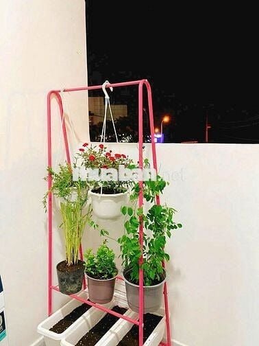 Bán căn hộ 1pn Dt 50m2 tại Celadon city Q.Tân Phú