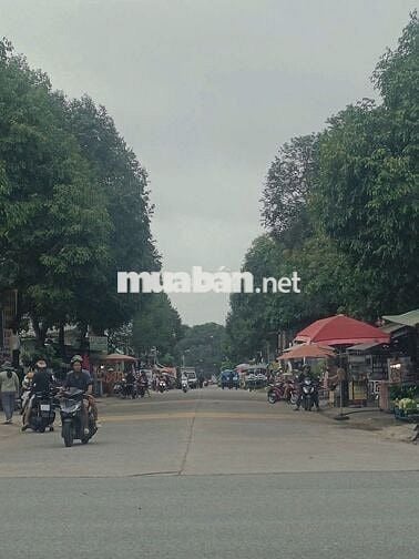 Đầu tư sinh lời đất nền Mỹ Phước 3