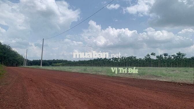 Đất Gần Khu Hành Chính Chơn Thành, Bình Phước
