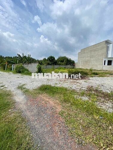 CHỦ NGỘP GỬI BÁN GẤP  LÔ ĐÁT 130m2 GIÁ 980tr TẠI PHƯỚC HIỆP CỦ CHI