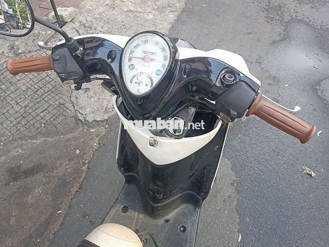 Mio classico thái zin trùm mền