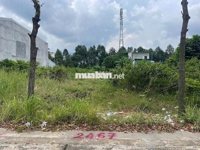💥🔥Đất nền giá mềm tại Đường N15 Thới Hòa, Bến Cát