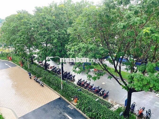 BÁN CĂN HỘ CHUNG CƯ EMERALD,RUBY,DIAMOND CELADON CITY QUẬN TÂN PHÚ