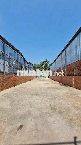 chính chủ cần bán lô đất MT vĩnh phú 38. DT 313m2 cách bờ kè sông 150m
