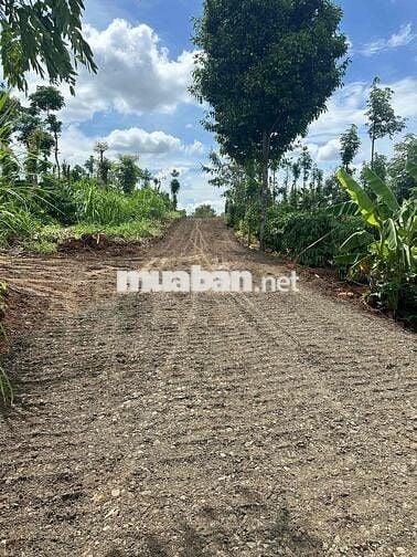 BÁN 1,8 Sào - Hẻm Cấp 1 - Đường Tĩnh Lộ 5 - 68m mặt tiền đường Nhà nướ