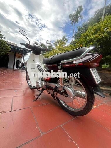 dream dộn tâm huyết , xe ngon xuất sắc 1998