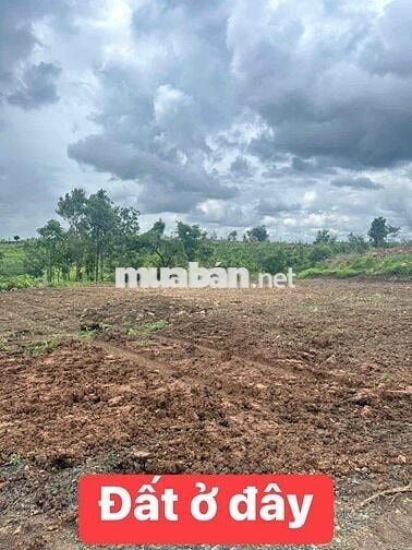 Đất Thổ cư cao tiền - Còn 1 lô *** bìa riêng ít tiền - Mặt tiền Đ